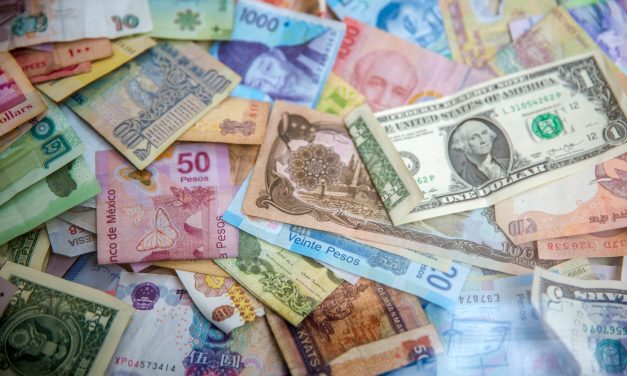 What should the purchase price of the founder stock be at incorporation?