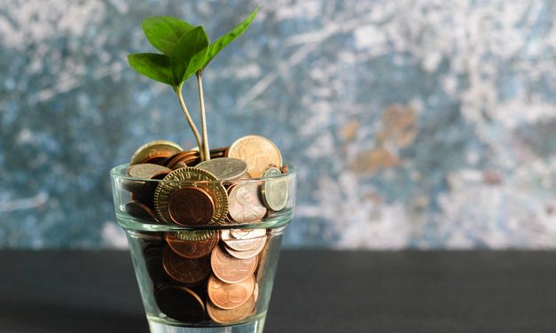 Angel Investors — Who are they?